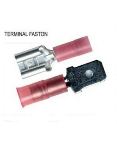 TERMINAL FASTON