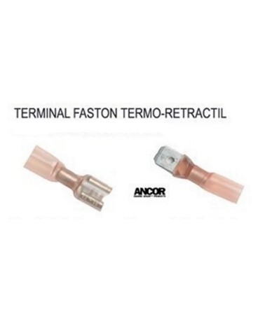 TERMINAL FASTON TERMO-RETRACTIL