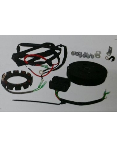 KIT CARGA Y LUZ YAMAHA F4/F5/F6